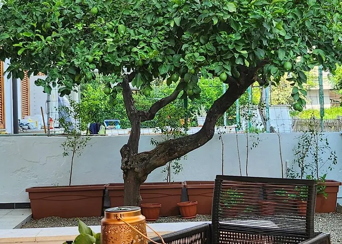 Lime Calabria Apartamento Falerna Scalo